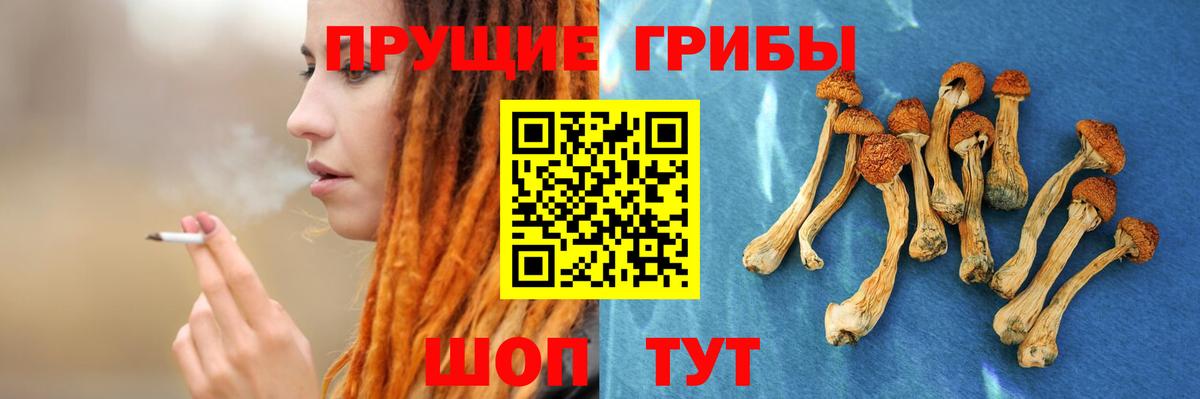 Лянтор  Псилоцибиновые грибы мухоморы  Вход с VPN  Псилоцибиновые грибы Psilocybe 
